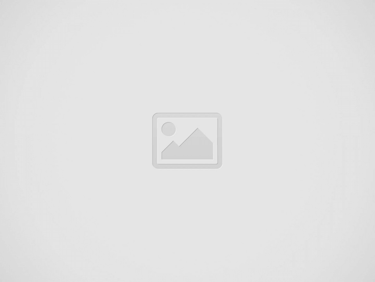 avatar for Matilde Brizzi