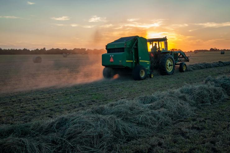 Molti agricoltori italiani e di altri Paesi stanno protestando contro le politiche agricole dell'Europa