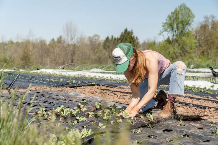 Sono tanti gli agricoltori che non si sentono tutelati in Italia