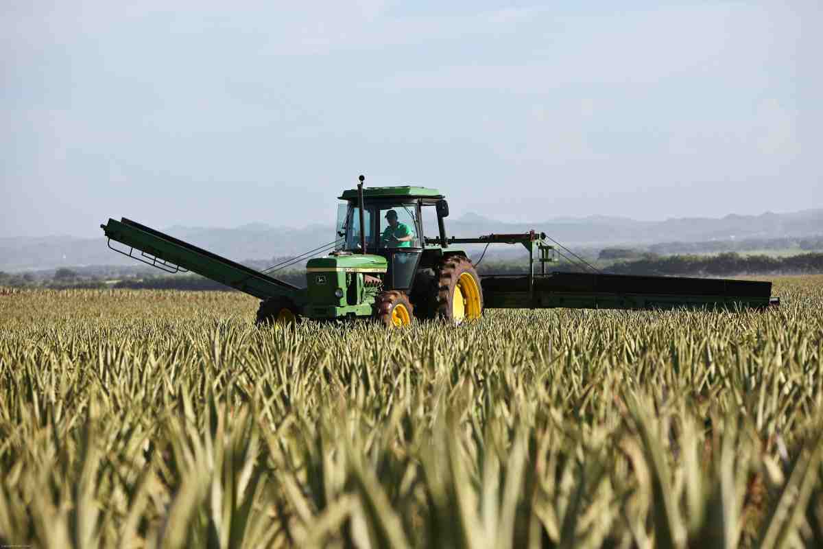 Gli agricoltori hanno invaso strade e autostrade con i loro trattori in segno di protesta