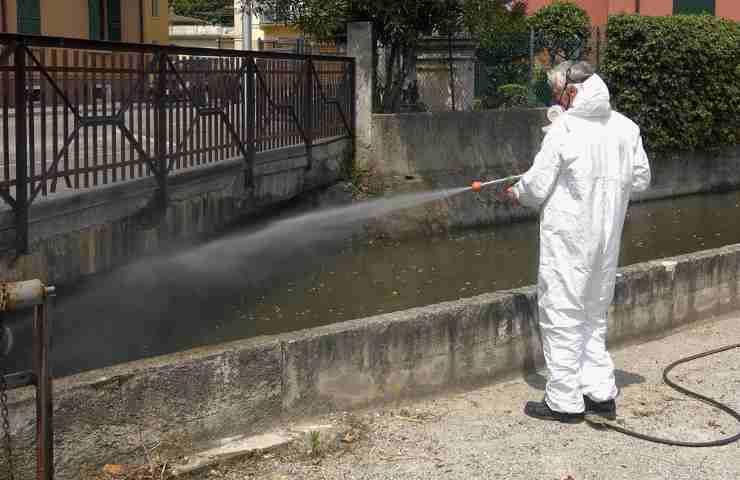 prevenzione disinfestazione processionarie