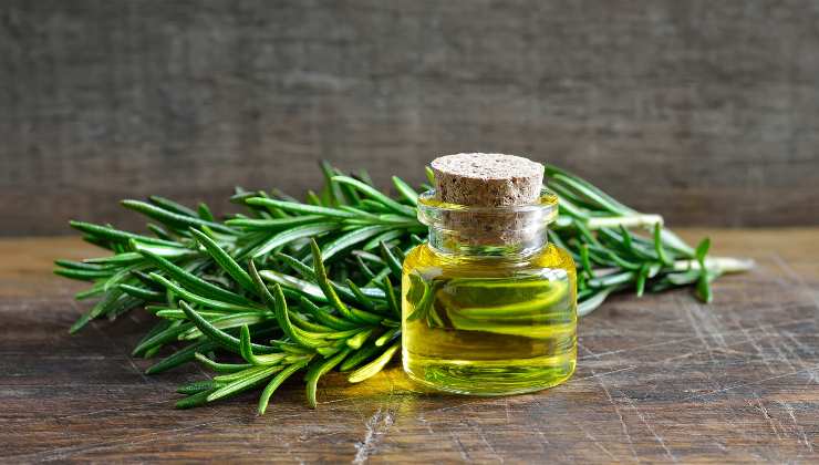 olio rosmarino benefici