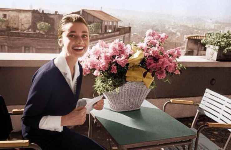 Audrey Hepburn 