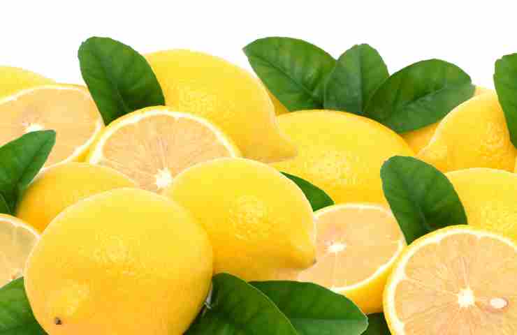 il segreto dei limoni